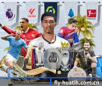 fly-huatih.com.cn APP（hth）